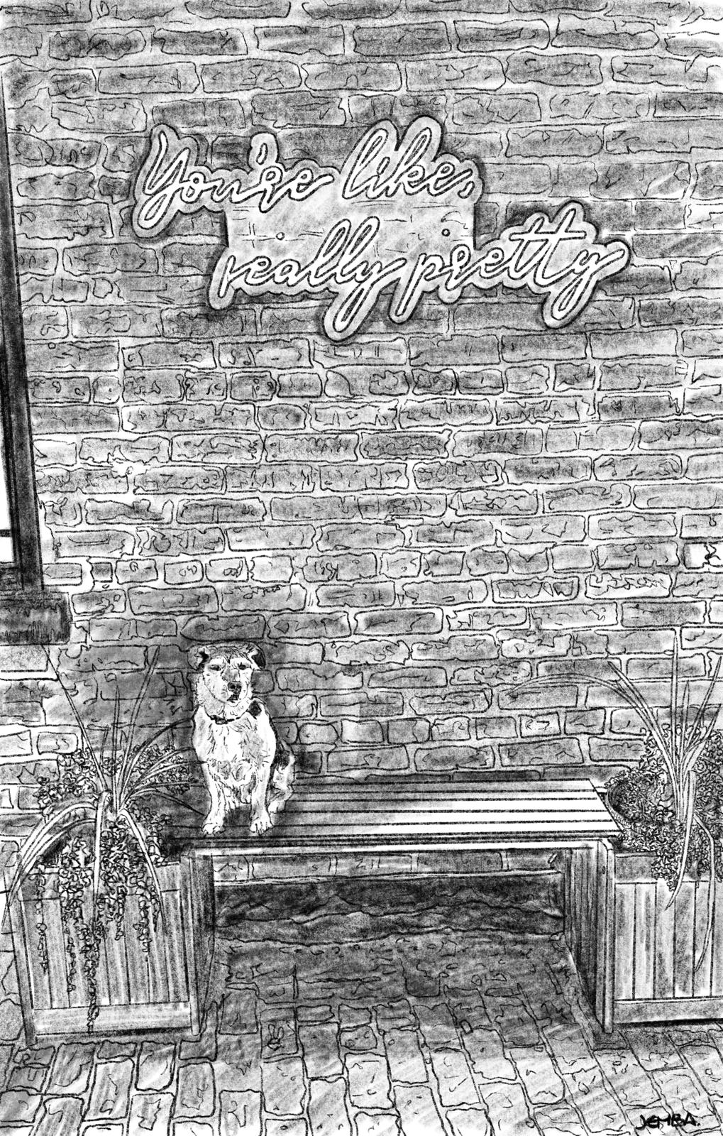 Custom digital art portrait of dog on bench