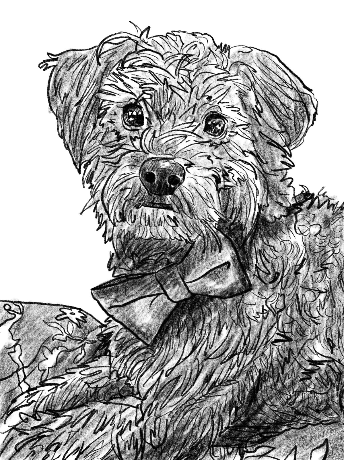 Custom digital art portrait of dog